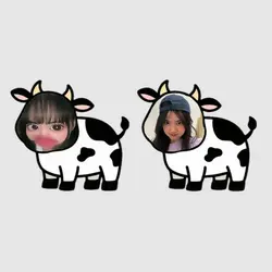 ver 2 sapi