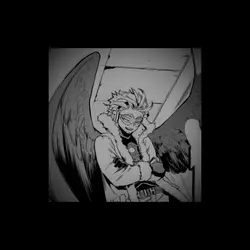 Hawks edit