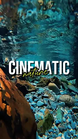 CINEMATIC NATURE