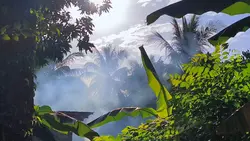 ALAM TENANG