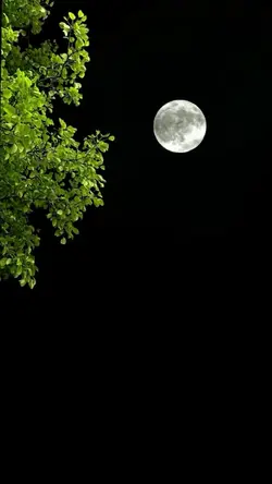 Sean como la luna