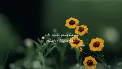 AESTHETIC