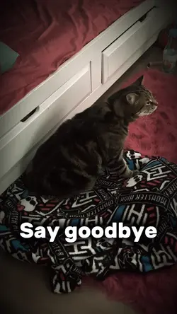 I still miss him 💔😭