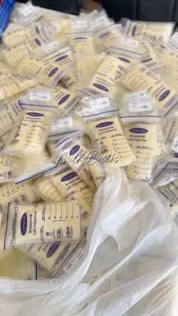 Milk Bricks