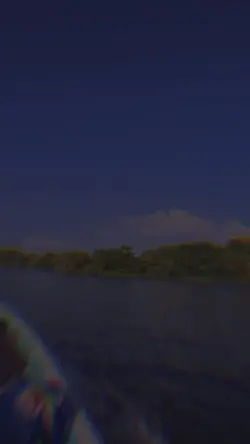 Nature velocity 