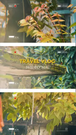 Travel vlog 3video 