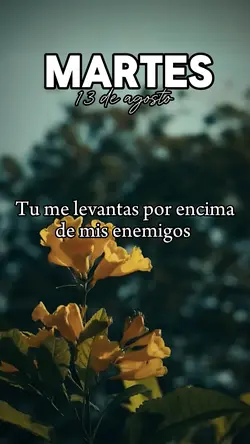 Martes 13 de Agosto 