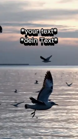Free to use 