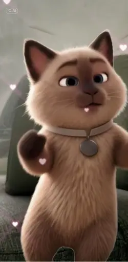 Gatita tiern