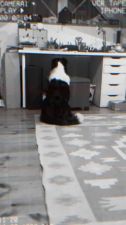 …