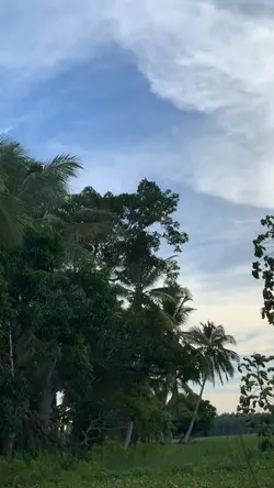 Lirik Lagu Esthetic