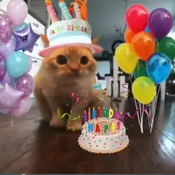 happy birthday irene