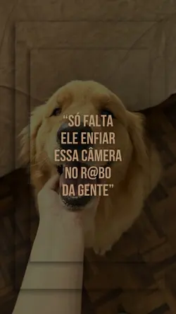 lá vem a humana
