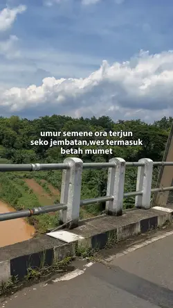 terjun jembatan 