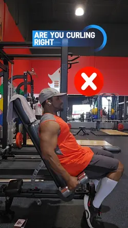 hammer curl form 

