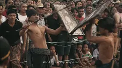 Videographi
