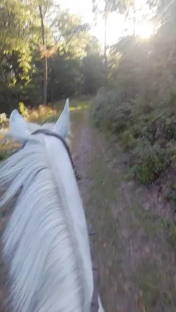 freedom