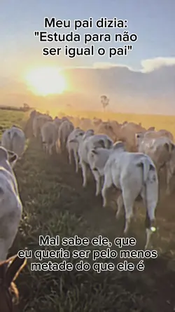 Meu pai dizia