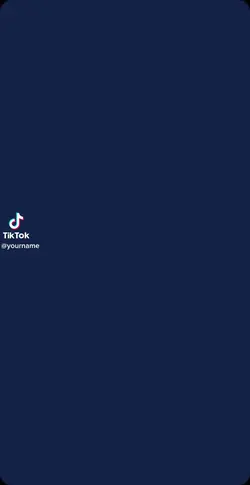 fake TikTok 