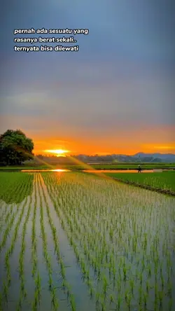 quotes story