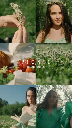 Picnic