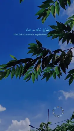 doa aesthetic