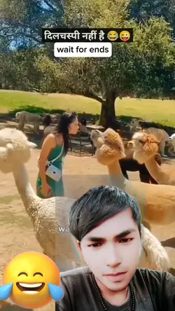 funny templates 