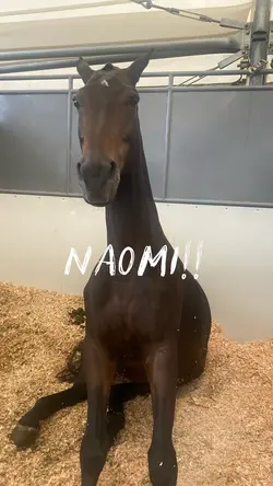 NAOMI!!