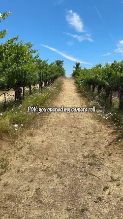 Camera Roll