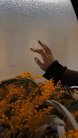 1 video aesthetic 