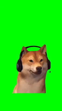 DANCING DOG MEME