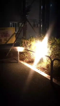 킹밥