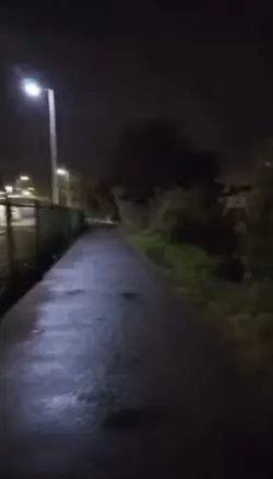 Ghost face 