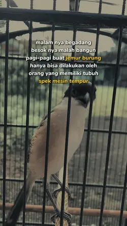 Status burung