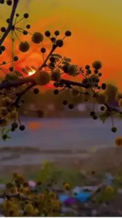 Sonbahar şablonu 