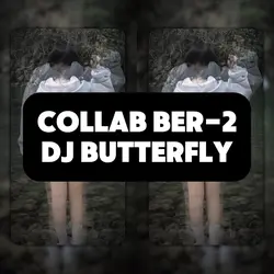 Collab Ber-2