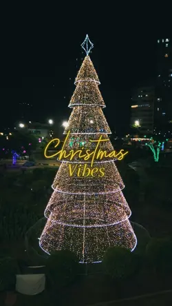 Christmas Vibes 