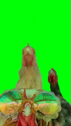 DANCING CHICKEN