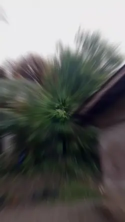 strong wind