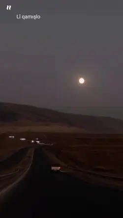 Lî qamışlo