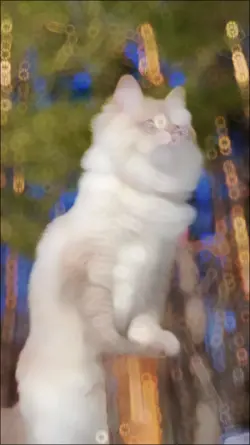 trending slowmo 