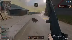 Cod