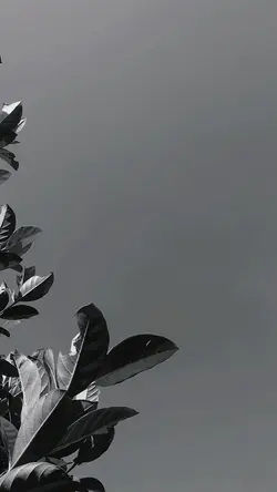 FILTER HD slowmo