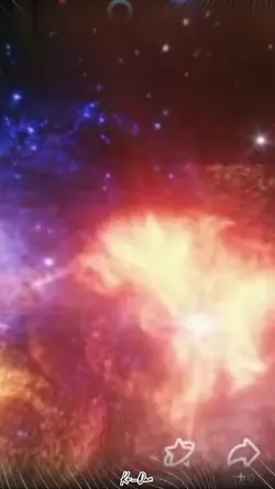 Banner PK