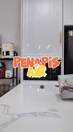 Penapis air
