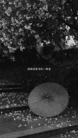 2 ảnh Nhạc Trung
