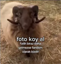 SJSJAJQ cokii