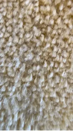 apple zoom