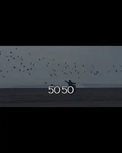 50 50