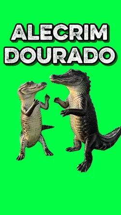 DANCING ALLIGATORS